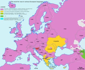 etymologická mapa Evropy_růže